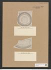 Campylodiscus ecclesianus Grev. (de-Toni-Nr.: Genus 57, Species 2487) Zeichnungen Sammlung Grunow Nr. 4999 (NHMW-BOT-W0373243)